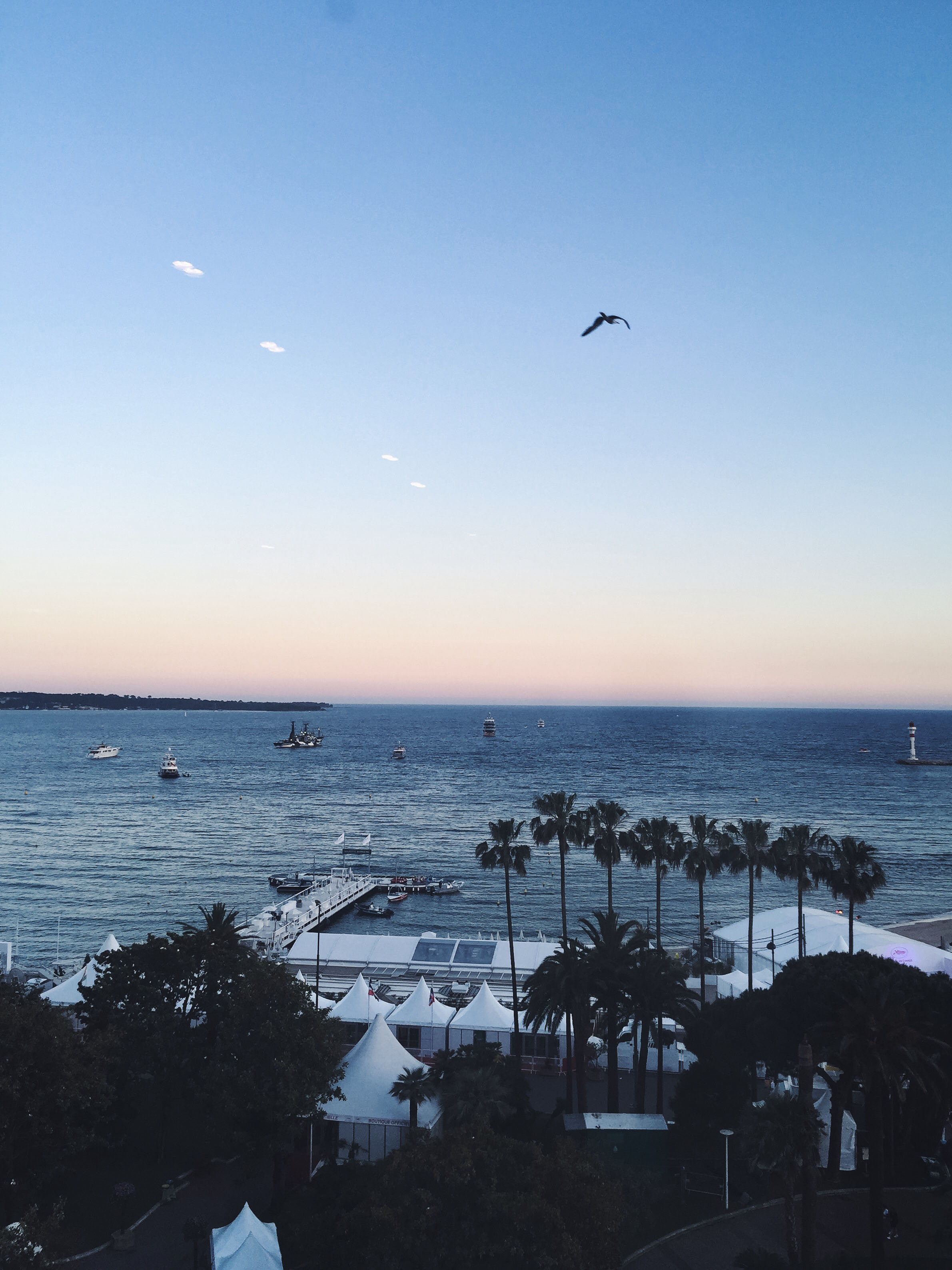 Cannes Photo Diary