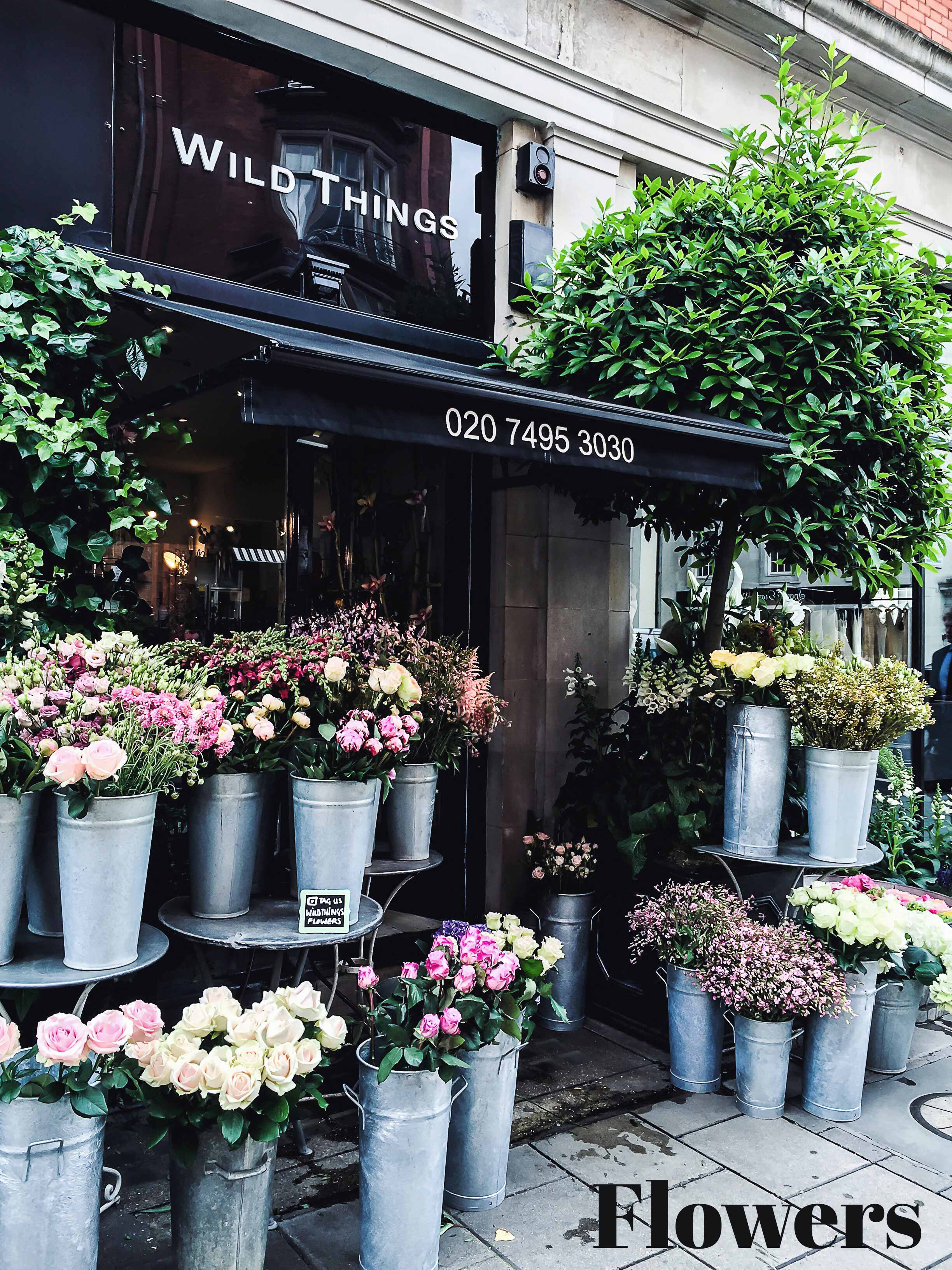 wild_things_flowers_shoppingtip_london_mayfair