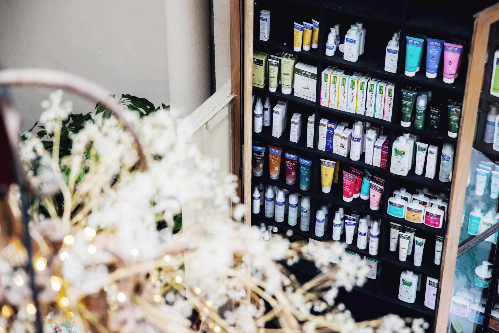 CATTIER PARIS Feuchtigkeits-Tagescreme Mit Natürlichem Hyaluron – 30 Ml, Zertifizierte Naturkosmetik